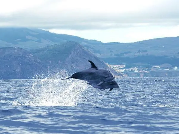 ゲストハウス Casa De Isaias アングラ・ド・エロイーズモ