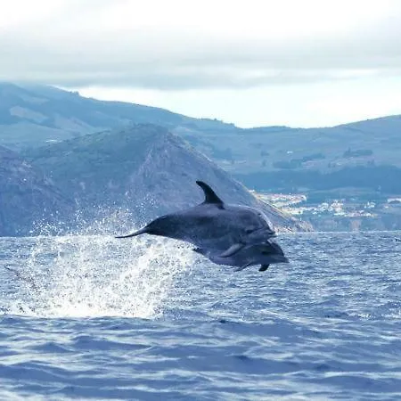 Maison d'hôtes Casa De Isaias Angra do Heroísmo